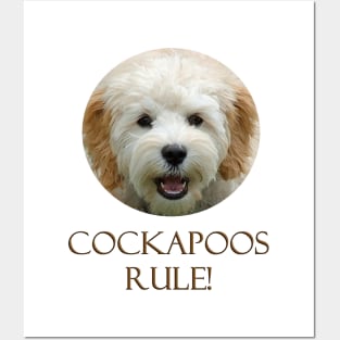 Cockapoos Rule! Posters and Art